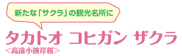 VȁuTNv̊όɁ@^JgI RqK UNފݍ